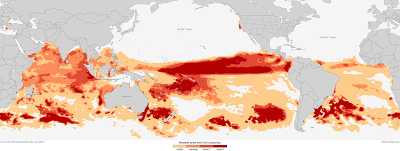 Illustration for article titled These Are All The Areas Likely To Be Hit By The Coral Bleaching Outbreak